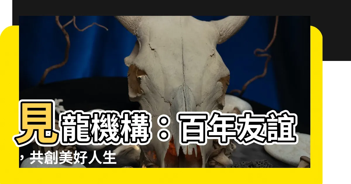 【見龍機構】見龍機構：百年友誼，共創美好人生