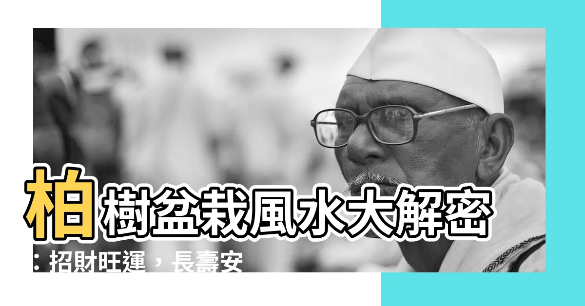 【柏樹盆栽風水】柏樹盆栽風水大解密：招財旺運，長壽安康