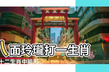 【八面玲瓏十二生肖】八面玲瓏打一生肖 |在十二生肖中能形容哪個動物 |八面玲瓏 |