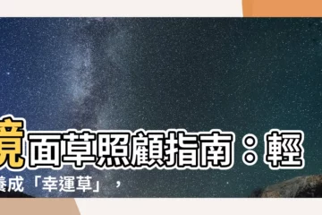 【鏡面草照顧】鏡面草照顧指南：輕鬆養成「幸運草」，打造居家亮點！