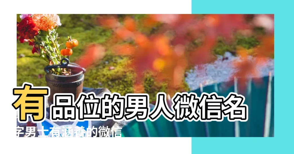 有品位的男人微信名字男士有涵養的微信名 |2022最讓人心動的男微信網名 |好聽的微信名字大全男佛系名字 |【起個男微信名字大全】
