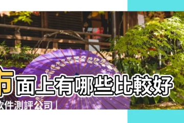 【哪些公司測試好】市面上有哪些比較好的軟件測評公司 |軟件測試前景比較好的公司有哪些 |軟件測試這個行業怎麼樣 |