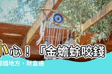 【蟾蜍咬錢意思】小心！「金蟾蜍咬錢」擺錯地方，財富通通溜走！