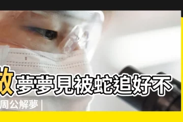 【周公解夢被蛇追着】做夢夢見被蛇追好不好 |周公解夢 |夢見被蛇追着咬 |