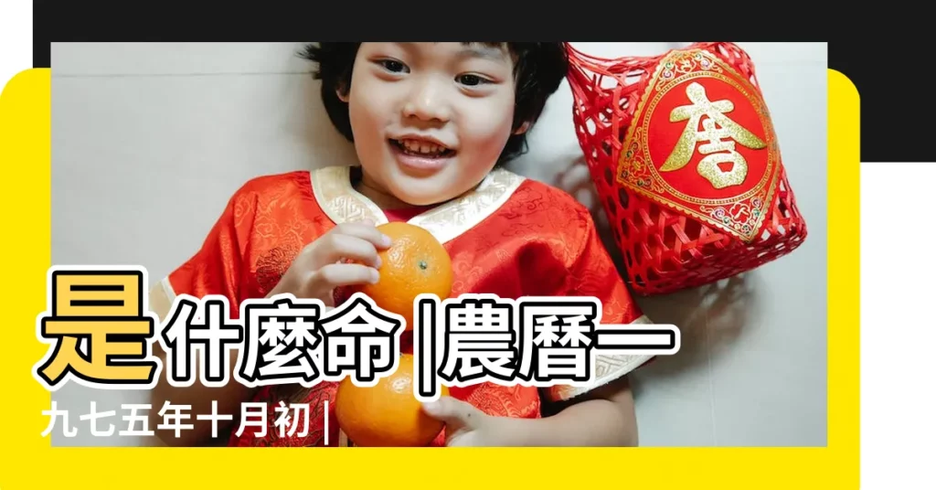 是什麼命 |農曆一九七五年十月初 |出生日期1975年11月3日測命運 |【1975年11月3日出生是什麼命】