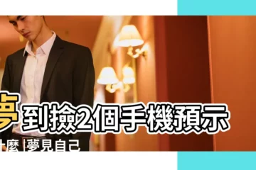 【夢到撿了兩個手機周公解夢什麼意思】夢到撿2個手機預示着什麼 |夢見自己撿到手機 |夢見撿到個手機是什麼意思 |
