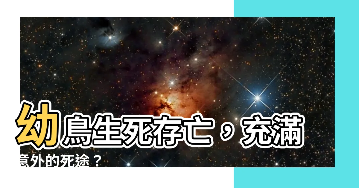 【幼鳥死掉】幼鳥生死存亡，充滿意外的死途？
