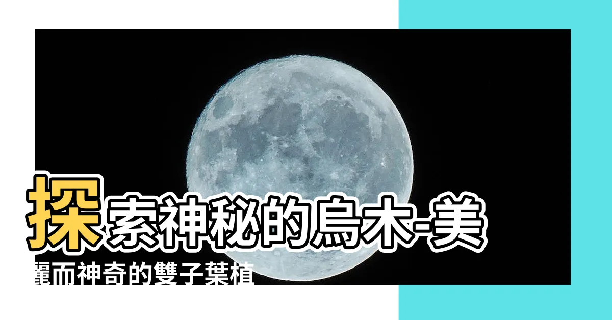 【烏木】探索神秘的烏木-美麗而神奇的雙子葉植物