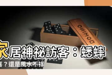 【蟋蟀在家風水】家居神秘訪客：蟋蟀報喜？還是風水不祥？
