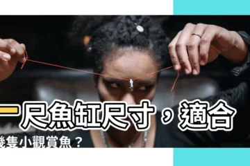 【1尺魚缸尺寸】一尺魚缸尺寸，適合養幾隻小觀賞魚？