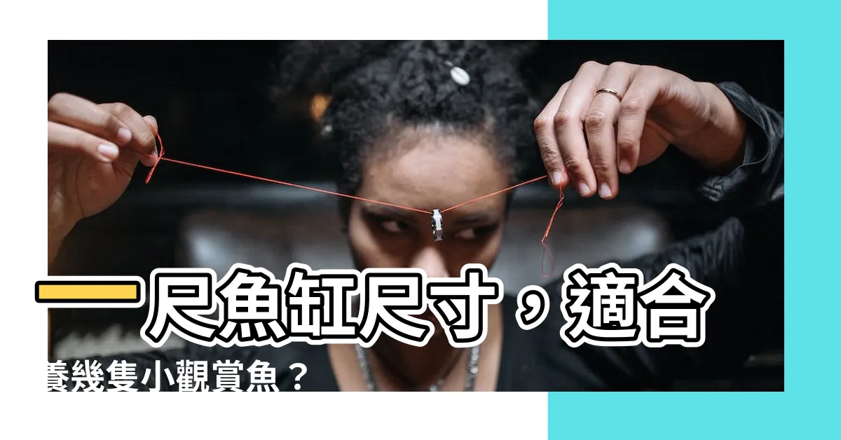 【1尺魚缸尺寸】一尺魚缸尺寸，適合養幾隻小觀賞魚？
