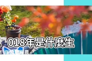 【2018年十二月初三屬啥子】2018年是什麼生肖年 |年公曆與農曆日期對照表 |2018年出生屬什麼生肖 |
