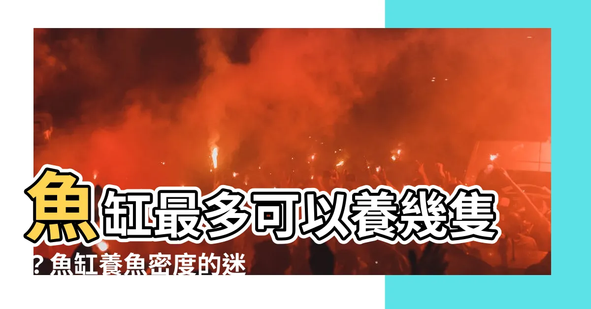 【魚缸可以養幾隻魚】魚缸最多可以養幾隻？魚缸養魚密度的迷思