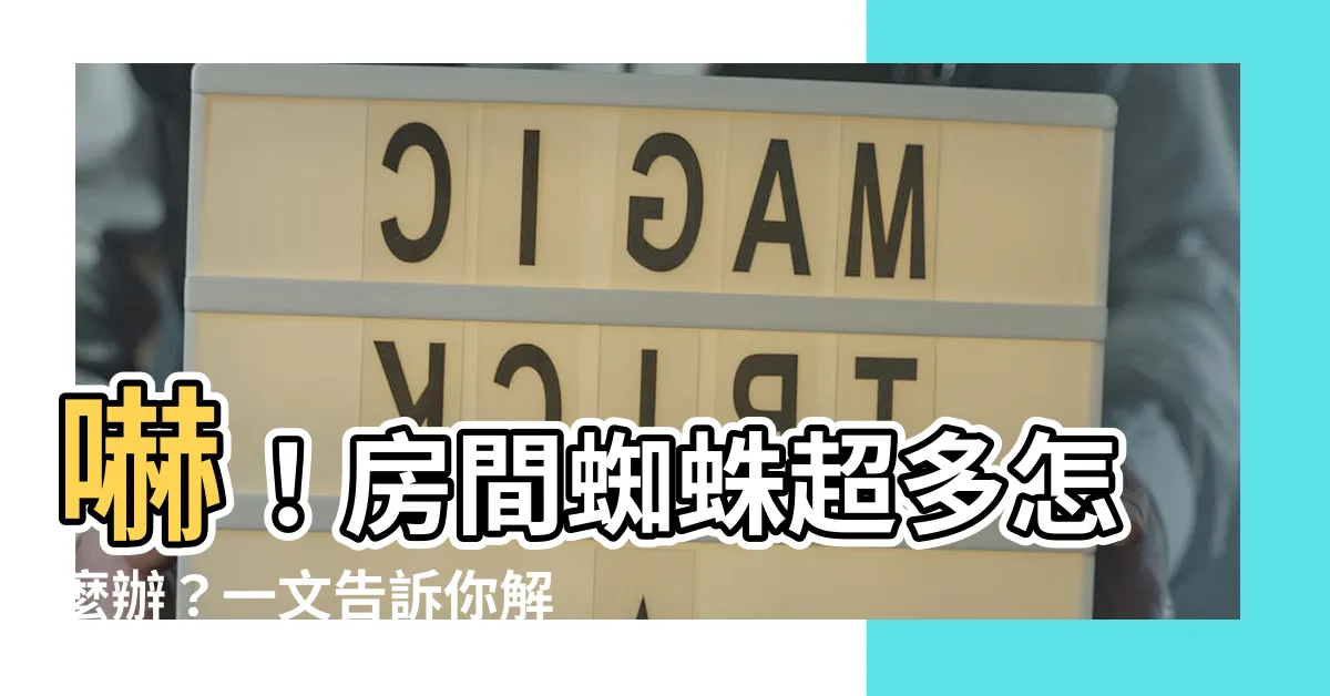 【房間蜘蛛很多】嚇！房間蜘蛛超多怎麼辦？一文告訴你解決之道