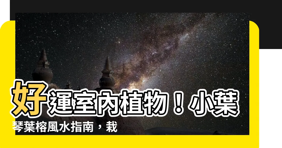 【小葉琴葉榕風水】好運室內植物！小葉琴葉榕風水指南，栽培、照顧和品種介紹