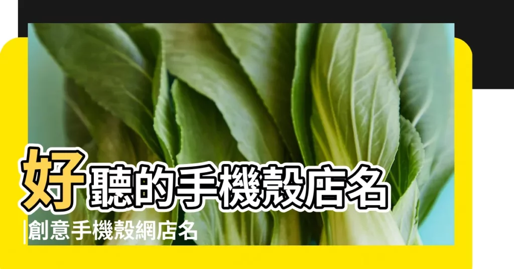 好聽的手機殼店名 |創意手機殼網店名字大全 |個性手機殼店名 |【開手機殼店叫什麼名字好】