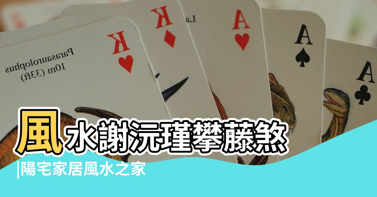 【藤蔓風水】風水謝沅瑾攀藤煞 |陽宅家居風水之家中藤蔓植物過多的風水影響 |