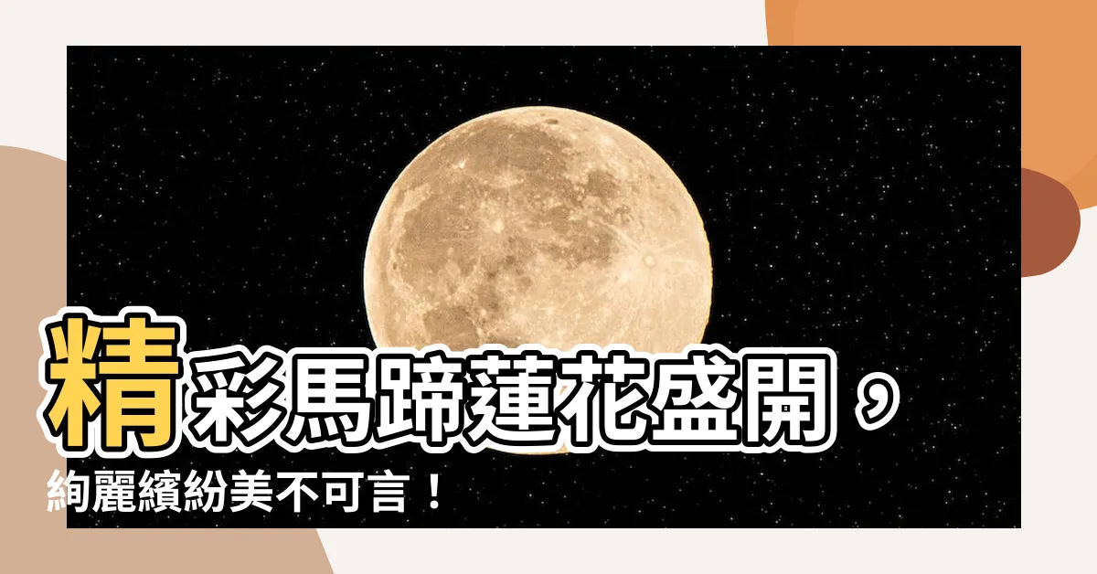 【馬蹄蓮】精彩馬蹄蓮花盛開，絢麗繽紛美不可言！