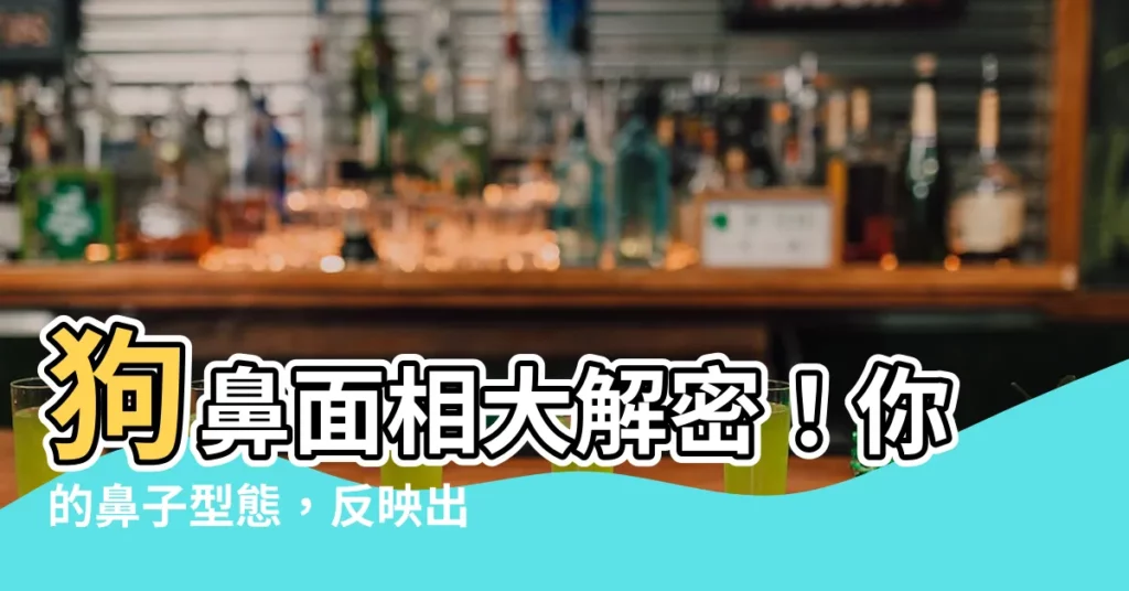【狗鼻面相】狗鼻面相大解密！你的鼻子型態，反映出你的性格和命運！