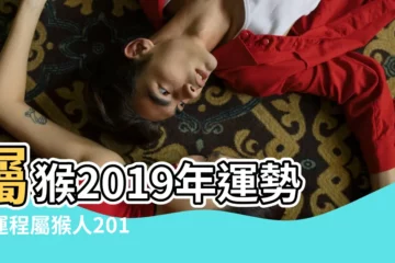 【屬猴2019每月生肖運勢】屬猴2019年運勢及運程屬猴人2019年全年運勢 |屬猴2019年運勢及運程2019年屬猴人的全年運勢 |屬猴2019年運勢及運程屬猴人2019年全年運勢 |