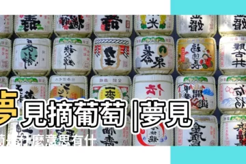 【夢見採葡萄 周公解夢】夢見摘葡萄 |夢見葡萄是什麼意思有什麼預兆 |夢見摘葡萄 |