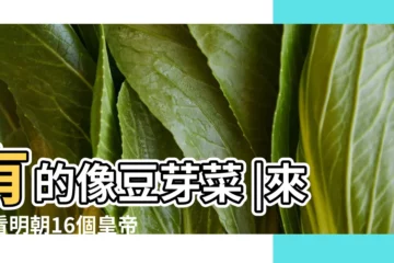 【各朝皇帝面相】有的像豆芽菜 |來看看明朝16個皇帝的長相 |解讀明代帝王御容像及行樂圖像 |