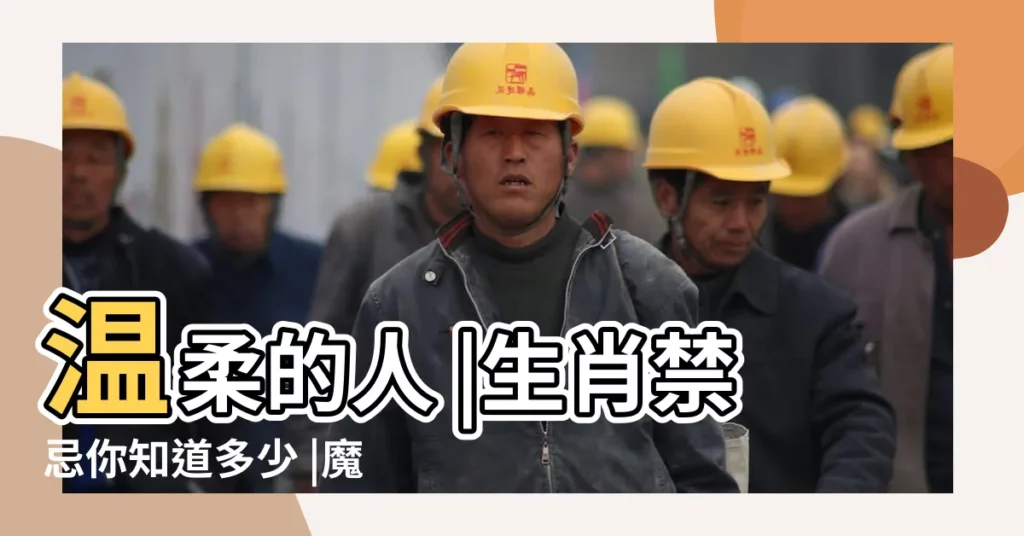 温柔的人 |生肖禁忌你知道多少 |魔法水果籃 |【守你一人前一句是什麼生肖】