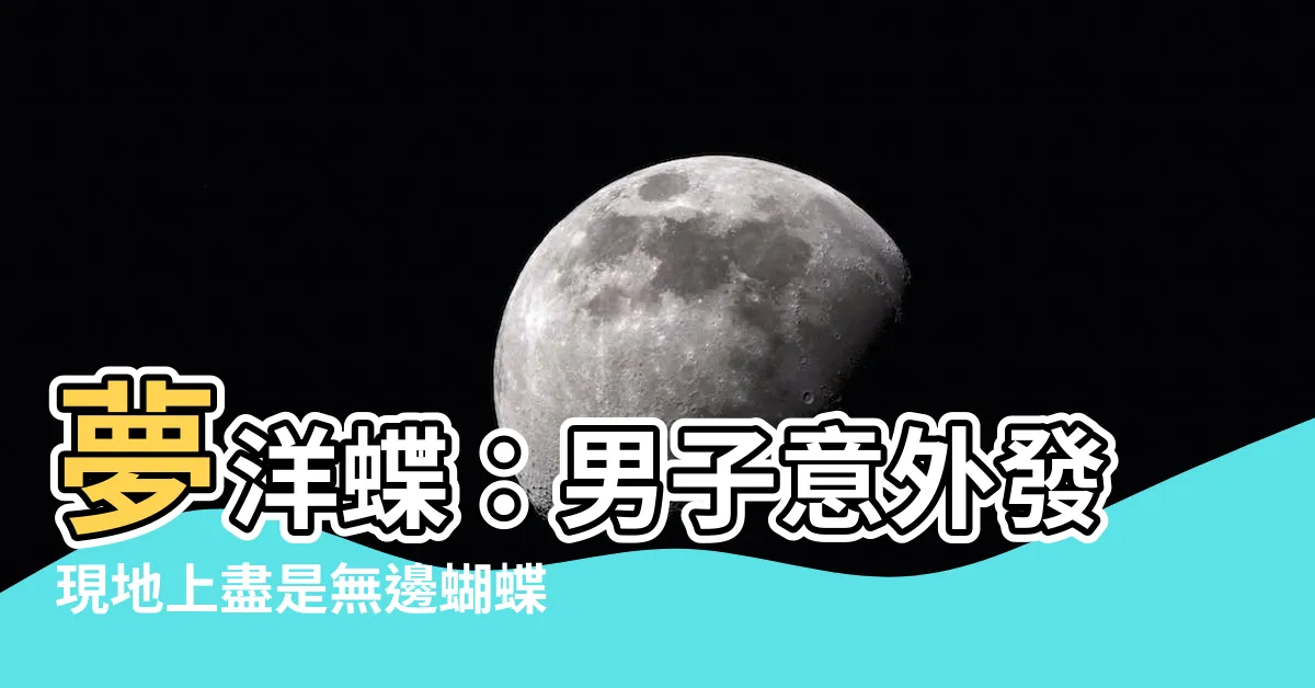 【很多蝴蝶】夢洋蝶：男子意外發現地上盡是無邊蝴蝶輕舞