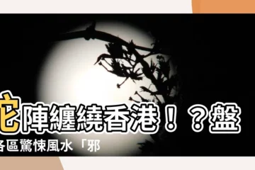 【蛇陣香港】蛇陣纏繞香港！？盤點各區驚悚風水「邪陣」