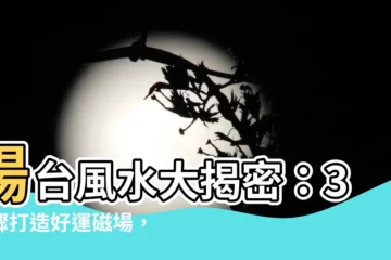 【陽台 風水 植物】陽台風水大揭密：3步驟打造好運磁場，植物這樣擺財運滾滾來