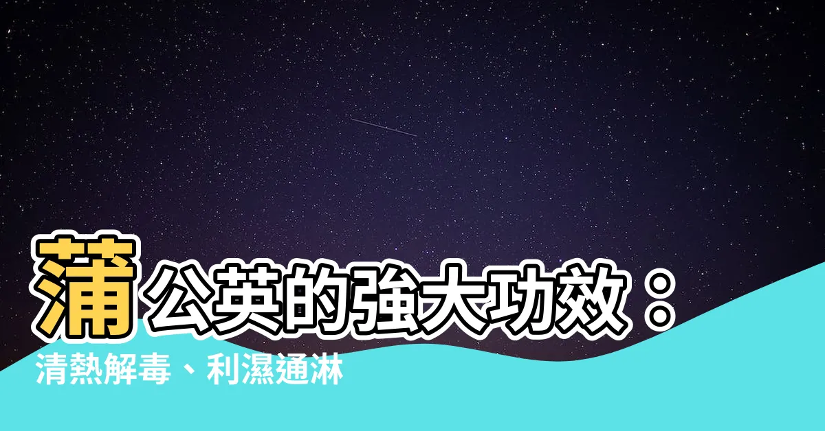 【蒲公英的功效】蒲公英的強大功效：清熱解毒、利濕通淋，提升你的健康！