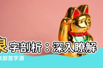 【泉部首】泉字剖析：深入瞭解其泉部首字源