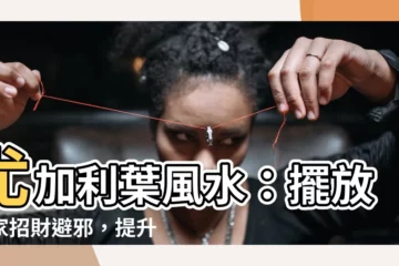【尤加利葉風水】尤加利葉風水：擺放居家招財避邪，提升氣場！