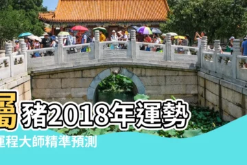 【2018屬豬每月運程運勢】屬豬2018年運勢及運程大師精準預測 |第一運程 |2018年屬豬每月運勢 |