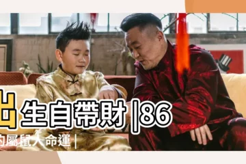 【1986年屬鼠什麼命運】出生自帶財 |86年的屬鼠人命運 |1986年屬虎人2020年運勢 |