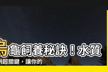 【烏龜 水】烏龜飼養秘訣！水質控制超關鍵，讓你的龜龜健康百分百！