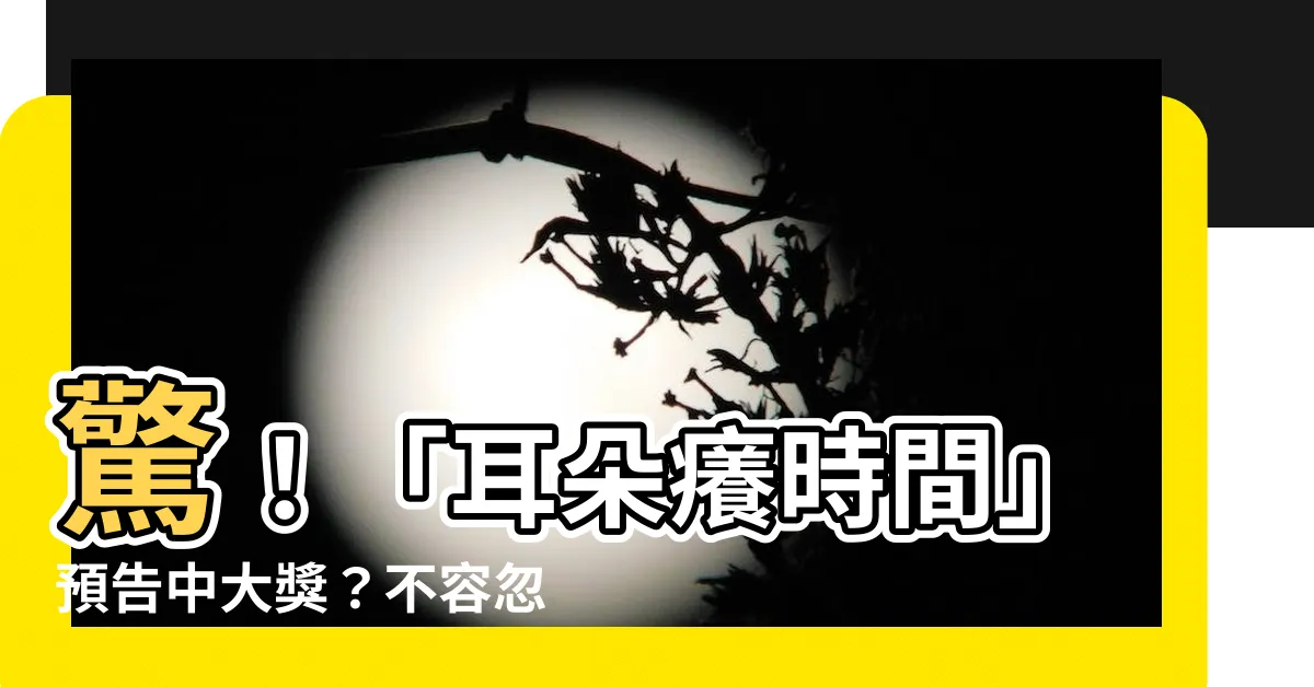 【耳朵癢時間】驚！「耳朵癢時間」預告中大獎？不容忽視的小預兆！