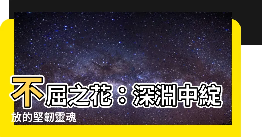 【不屈之花】不屈之花：深淵中綻放的堅韌靈魂