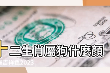 【屬狗人的吉祥色】十二生肖屬狗什麼顏色是吉祥色2023最吉利顏色 |2023最吉利顏色 |屬狗人一生最吉利的顏色 |