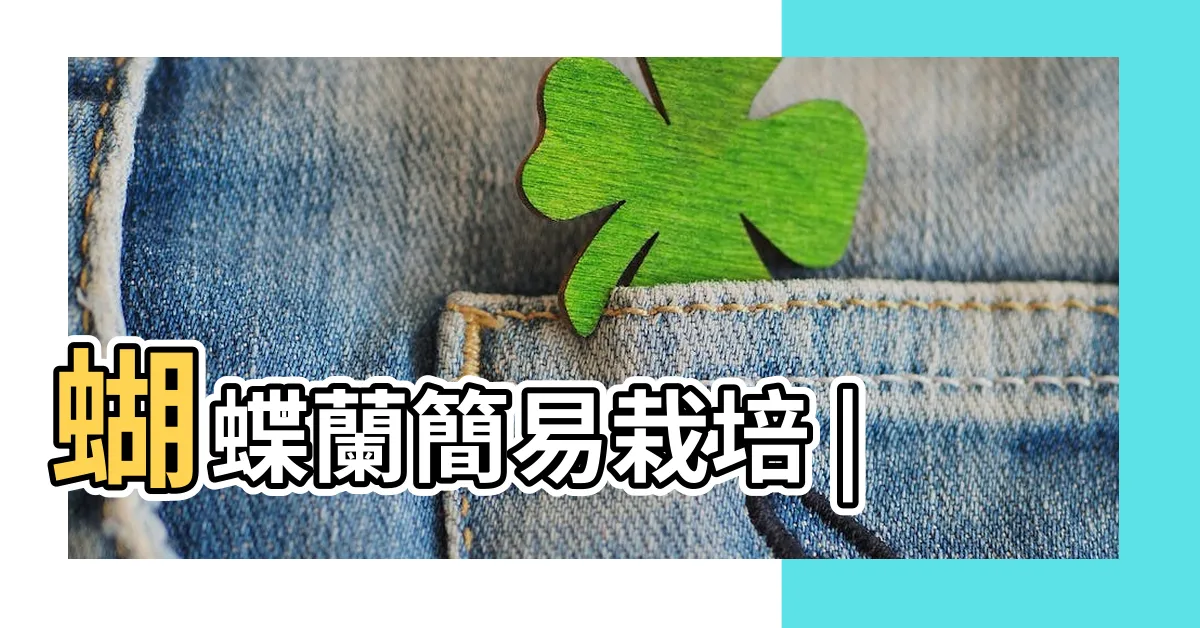 【蝴蝶蘭】蝴蝶蘭簡易栽培 |