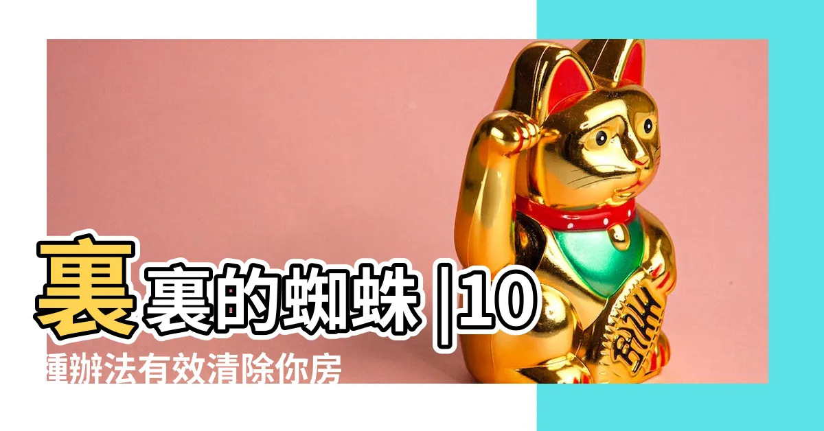 【很多蜘蛛】裏裏的蜘蛛 |10種辦法有效清除你房間 |蜘蛛室友麥擱來 |