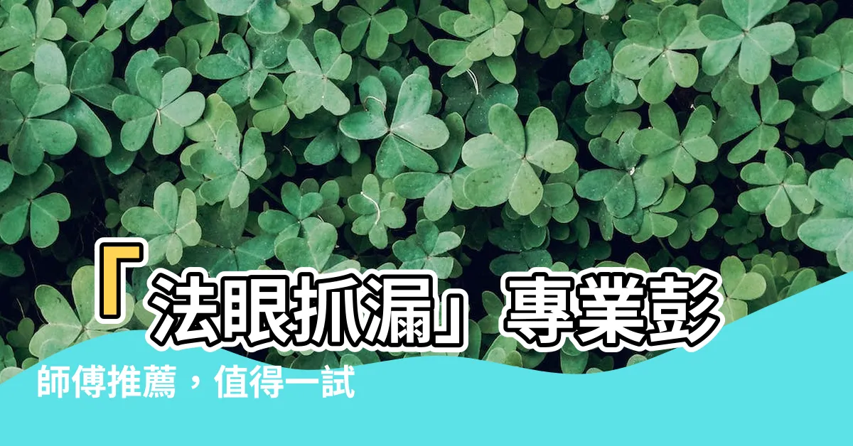 【法眼抓漏】「法眼抓漏」專業彭師傅推薦，值得一試！