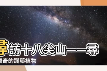 【躝藤植物】尋訪十八尖山——尋找獵奇的躝藤植物