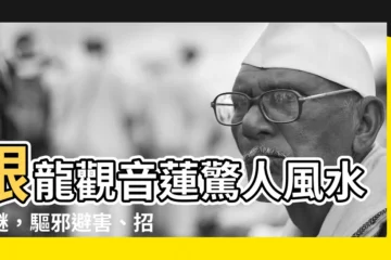 【銀龍觀音蓮風水】銀龍觀音蓮驚人風水之謎，驅邪避害、招財保平安
