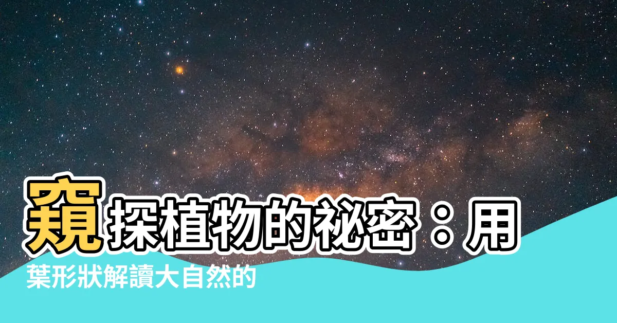 【葉形狀】窺探植物的秘密：用葉形狀解讀大自然的語言