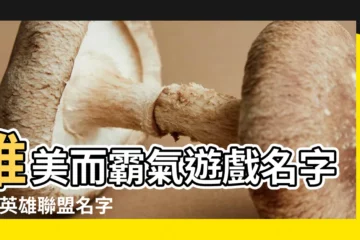 【lol暱稱大全男生霸氣】唯美而霸氣遊戲名字男 |英雄聯盟名字大全霸氣男生 |英雄聯盟名字大全 |