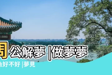 【女人夢見魚缸的魚很兇】周公解夢 |做夢夢見魚好不好 |夢見魚缸裡的魚 |