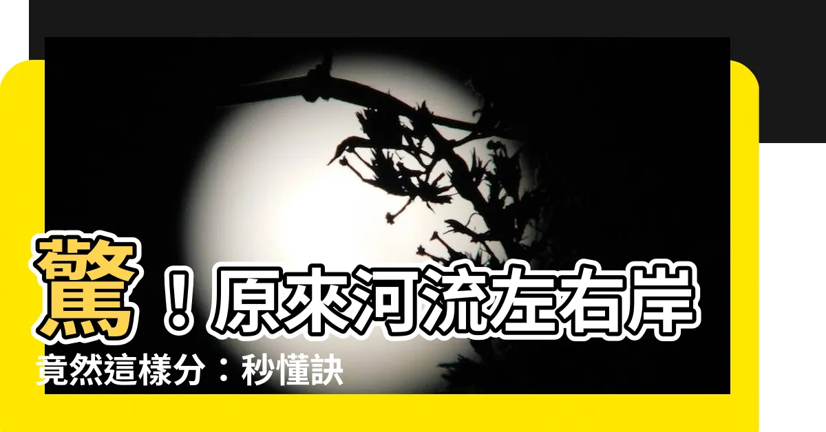 【河流左右岸】驚！原來河流左右岸竟然這樣分：秒懂訣竅，告別迷航的煩惱