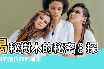 【樹的部位名稱】揭秘樹木的秘密：探索樹的部位如何構築生命奇蹟