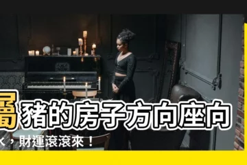 【屬豬房子座向】屬豬的房子方向座向風水，財運滾滾來！